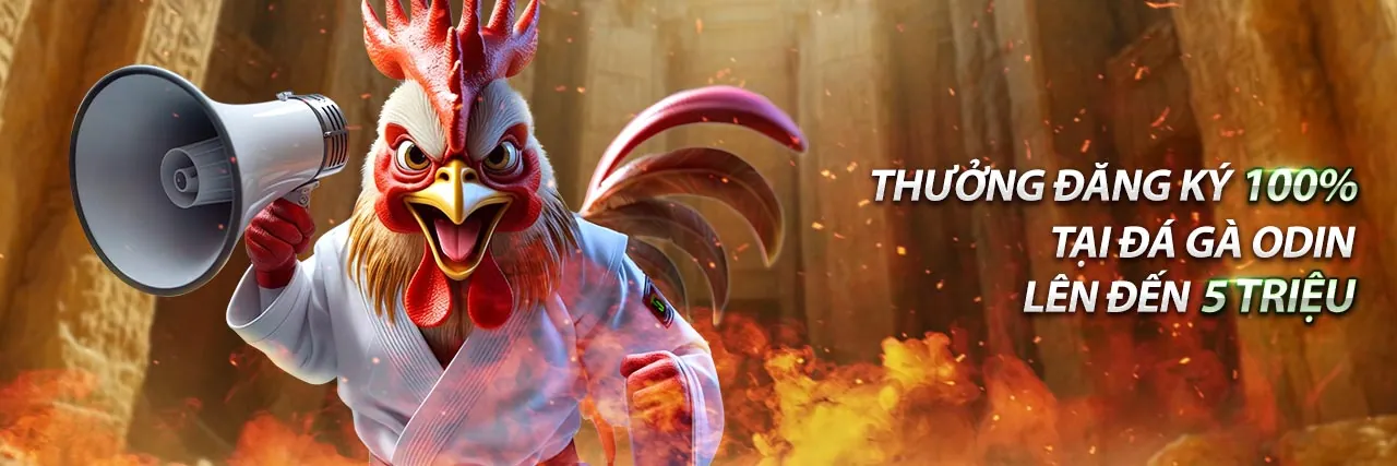 Đá gà trực tiếp đầy kịch tính tại AE3888