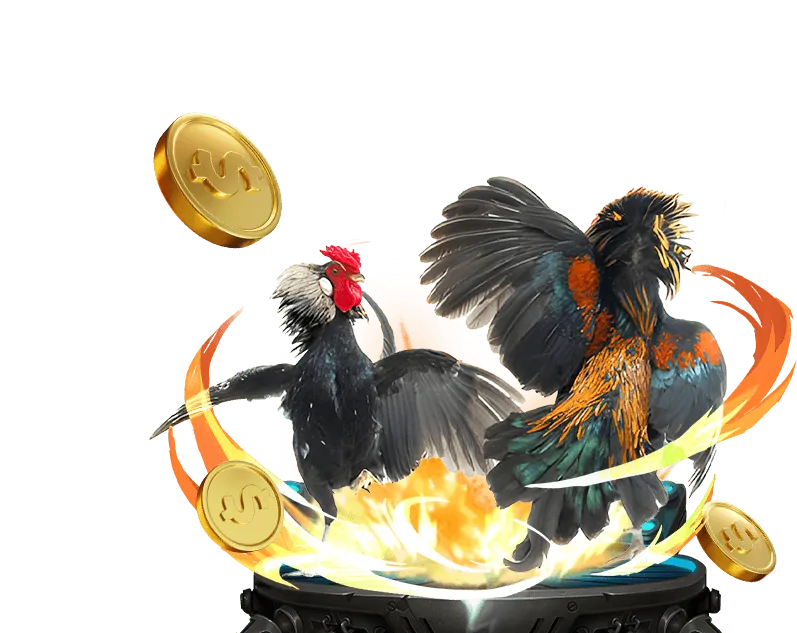 Lịch sử và văn hóa đá gà tại Việt Nam